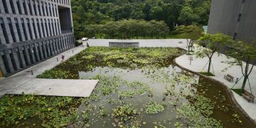 홍콩중문대학교 선전 캠퍼스 연못과 연구동