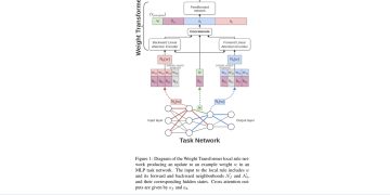 역전파 없이 신경망 가중치를 자라게 하는 MetaNCA — arXiv 2607.07743 논문 원문 연구 도식