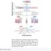 역전파 없이 신경망 가중치를 자라게 하는 MetaNCA — arXiv 2607.07743 논문 원문 연구 도식