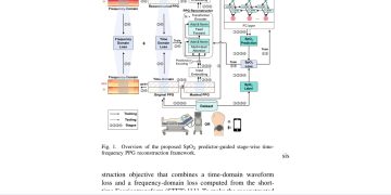 저품질 웨어러블 맥파, 산소포화도 보존하며 복원하는 AI — arXiv 2607.07996 논문 원문 연구 도식