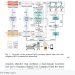 저품질 웨어러블 맥파, 산소포화도 보존하며 복원하는 AI — arXiv 2607.07996 논문 원문 연구 도식