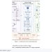PARA-PV, 물리 제약과 과거 유사 궤적으로 태양광 발전을 예측한다 — arXiv 2607.08079 논문 원문 연구 도식
