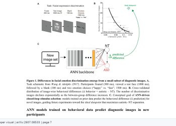자폐 감정지각 차이, AI가 집단 반응이 갈리는 얼굴을 골랐다 — arXiv 2607.08533 논문 원문 연구 도식