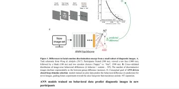 자폐 감정지각 차이, AI가 집단 반응이 갈리는 얼굴을 골랐다 — arXiv 2607.08533 논문 원문 연구 도식
