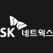 SK네트웍스 공식 로고